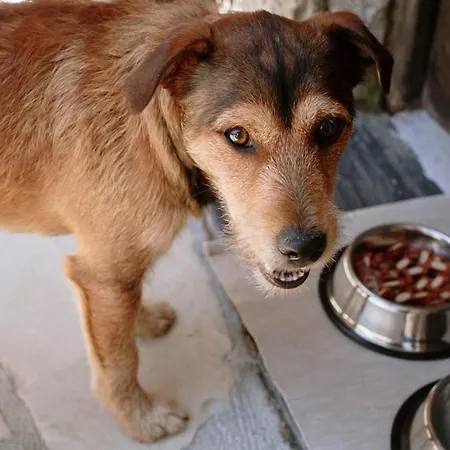 Casa Ortiz Country house