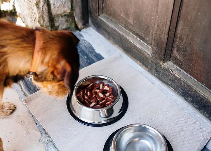 Landhuis Casa Ortiz Soto De Cangas